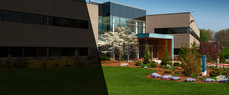 Elma Landscapers