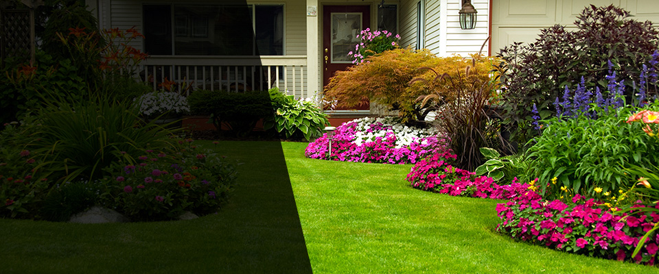 Elma Landscapers