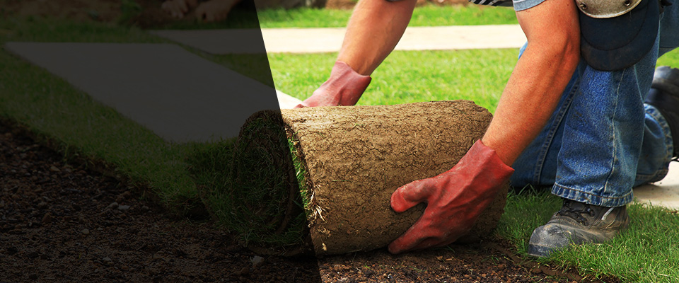Elma Landscapers
